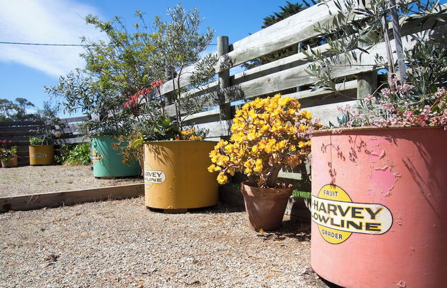 Lauriston Homestead - Foto 9