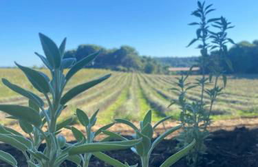 Tiny-House Grand Confort - Salle de bain italienne - Lit King - 10 min A7 - Foto 46