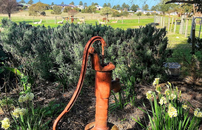 Cherry Plum Cottages - Foto 38