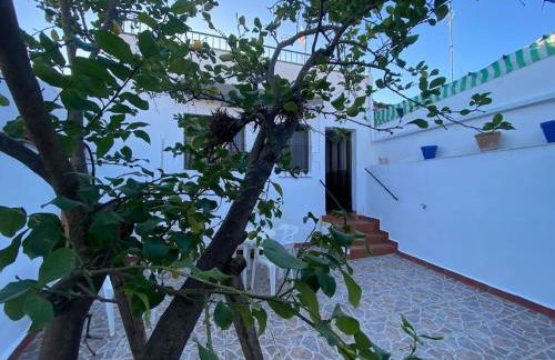 Casa Rosalía - Photo 19