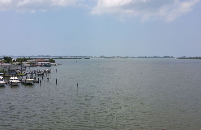 Boca Ciega Resort - Foto 50