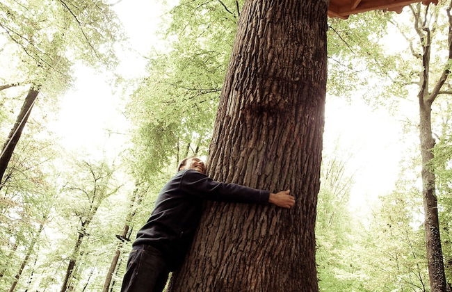 L'Arbre à Cabane - Foto 44