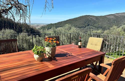 Villa in Tuscany with Pool and Olive Grove - Photo 6