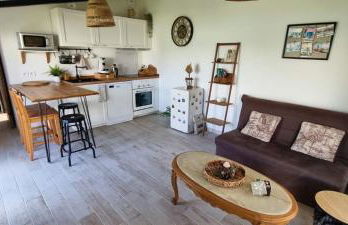 Ty Grain de Sel : logement privatif avec piscine, jardin et patio - Foto 9