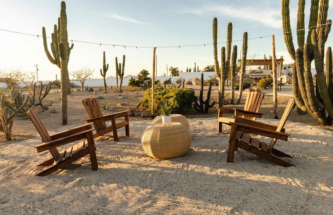 Hidden Leaf Baja Casita - Foto 5