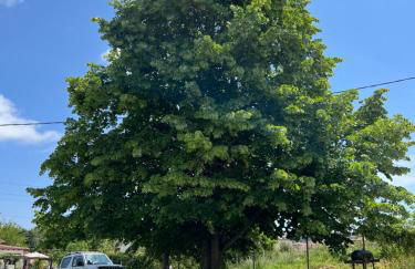 Casa Mareal - Foto 21