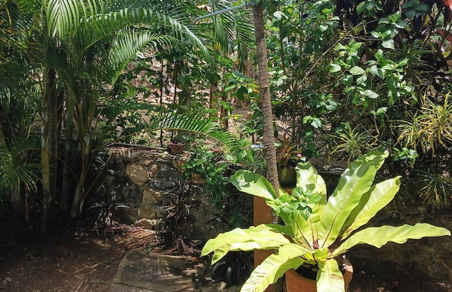 Lake Villa Near Udawalawe National Park - Foto 48