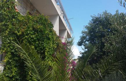 Villa Sandra Hvar - Foto 43