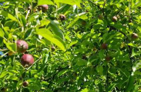 Ferienwohnung in Wilnsdorf OT Wilden neu erstellt & hochwertig - Foto 38