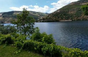 Douro Feels Like Home - Foto 15