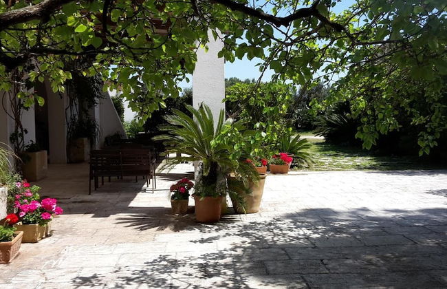 Agriturismo Vignavecchia - Photo 51