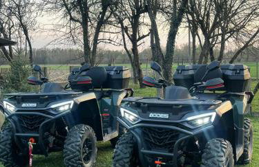 Forest idyll - Foto 6