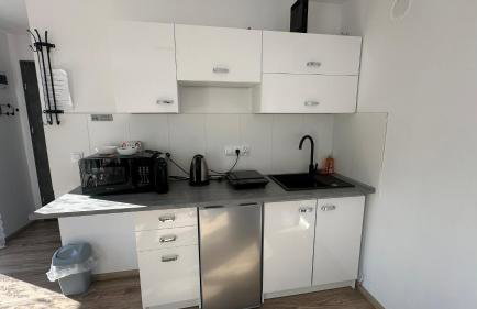 Domki Pasieka Domek D - Foto 11