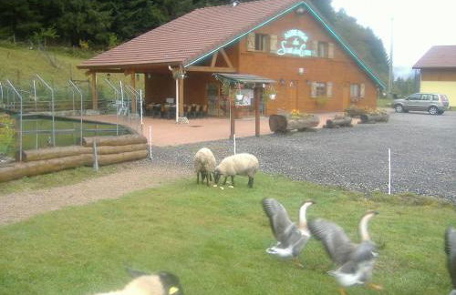 Les gîtes de la bergerie - Foto 35