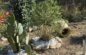 Casa di Ramiro - Foto 19