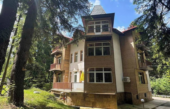 The Forest Villa Borovets1 - Foto 1