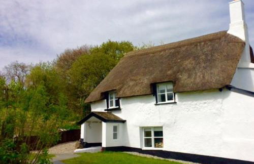 Cosy and unique Thatched Cottage on Dartmoor - Foto 9