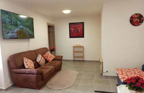 Cosy appartement RDC-terrasse et parking privé - Foto 32