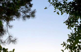 Sunrise, Mountain & Farm View - Heated Tub or Pool - Foto 7