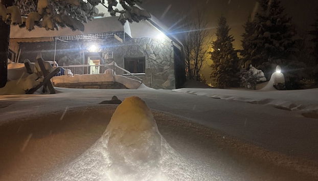 Check-in-/Check-out-Schalter