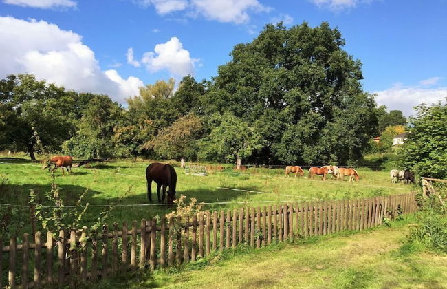 Pfarrhof Stuer - Foto 9