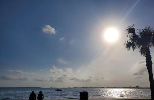 I love San Marco Studios! - Photo 15