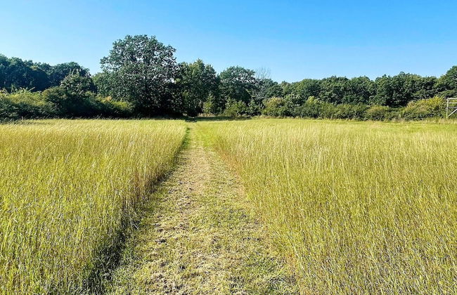 6 Person Holiday Home in Borgholm - Foto 9