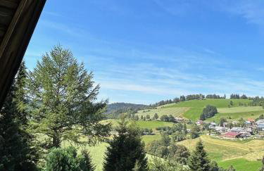 Schwarzwald Chalet Matti in Todtnauberg - Foto 8