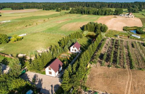 Mały Kaletnik - Foto 8