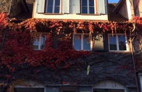 Geschmackvolles Dachstudio in der Innenstadt - Foto 1