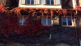 Geschmackvolles Dachstudio in der Innenstadt - Foto 1