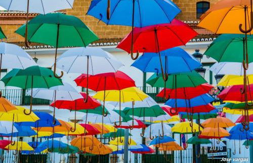 Appartement Duna beach 2 - Photo 4