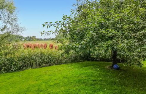 Nice Home In Drochtersen - Foto 17