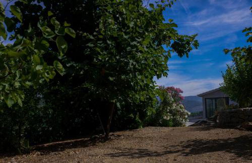 Bosque da Fantasia - Foto 22