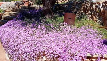 Casa La Manna by A&B Homes Leuca - Foto 3, Garden