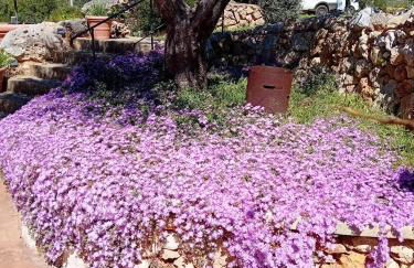 Casa La Manna by A&B Homes Leuca - Foto 3