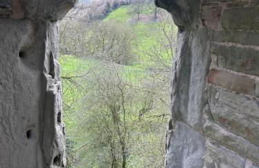 Trillow House, Clungunford, Ludlow - Foto 43