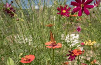 TEKOÁ - Cabana Pitanga - Barreiro, Araxá - Foto 27