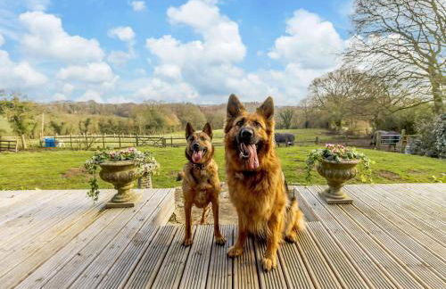 1 Bed in Whitegate 91266 - Photo 29