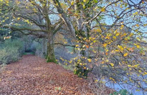 Rommersheim Forest Retreat - Foto 51