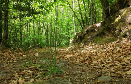 Casa Rural Las 6 Hermanas - Foto 42