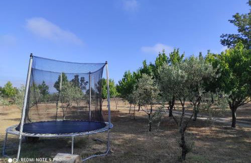 Quinta Damigo - Foto 69