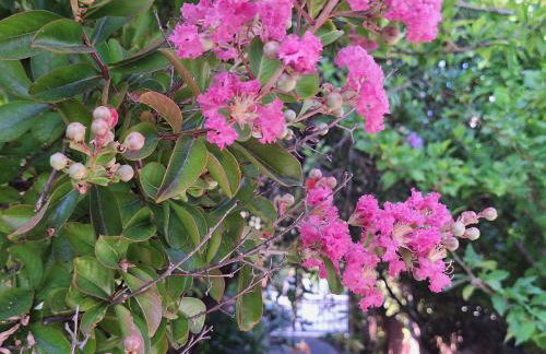 A Sense of Calm & Relaxation - Foto 22