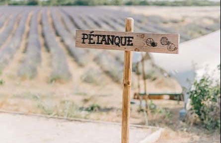 Entrance to Lavender Fields - Photo 6