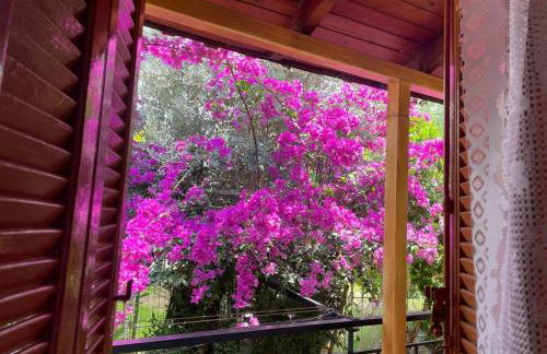 Ideal Cottage Holidays-Ιδανικές Εξοχικές Διακοπές - Foto 23