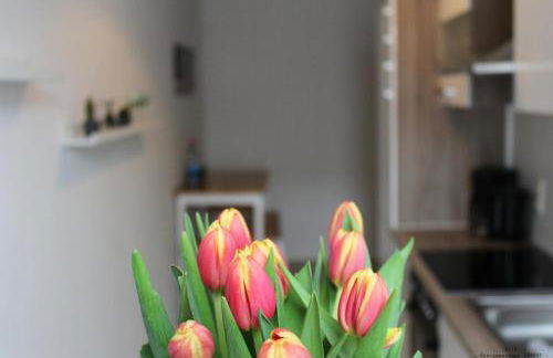 Ferienwohnung "OTTO" - Foto 12