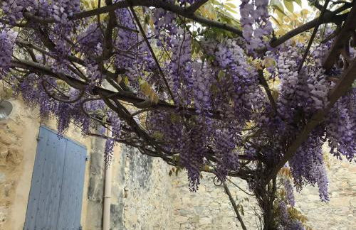 Maison de ville provençale Tarascon 13150 - Foto 21