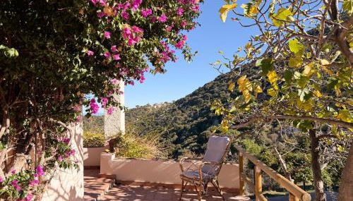 Villa Elena - HelloElba - Foto 4, Garden view