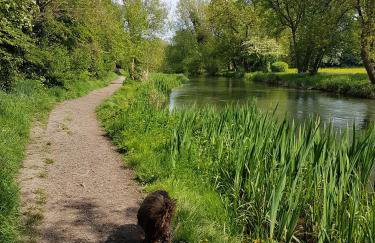 Tudor Cottage - Foto 27