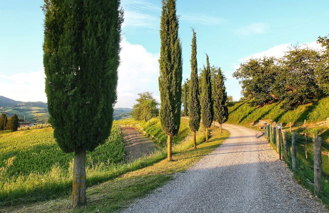 Chianti Hillside Farmhouse - Foto 38